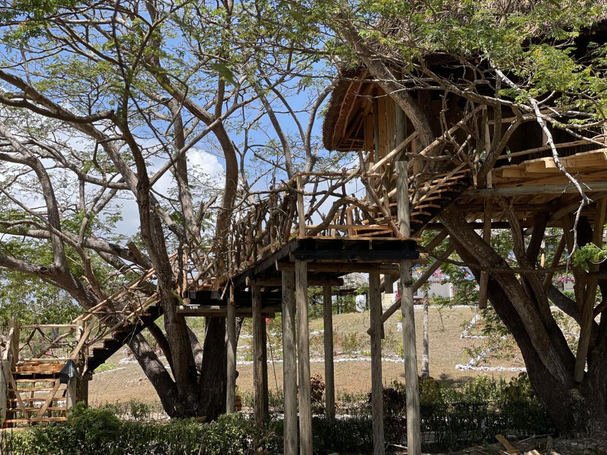 Antonio Beach Tree House Hotel & Spa Uroa Eksteriør billede